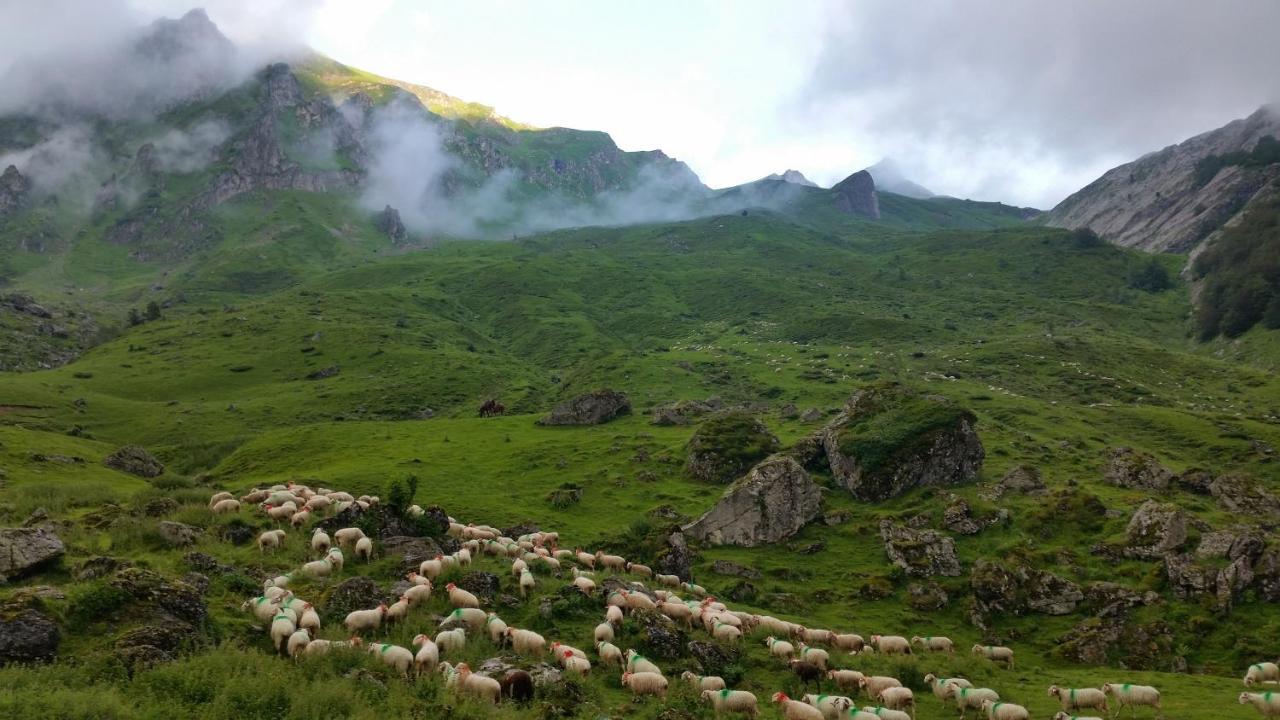 Gite De Montagne Du Plateau De Lhers- Accueil Randonneurs Accous المظهر الخارجي الصورة