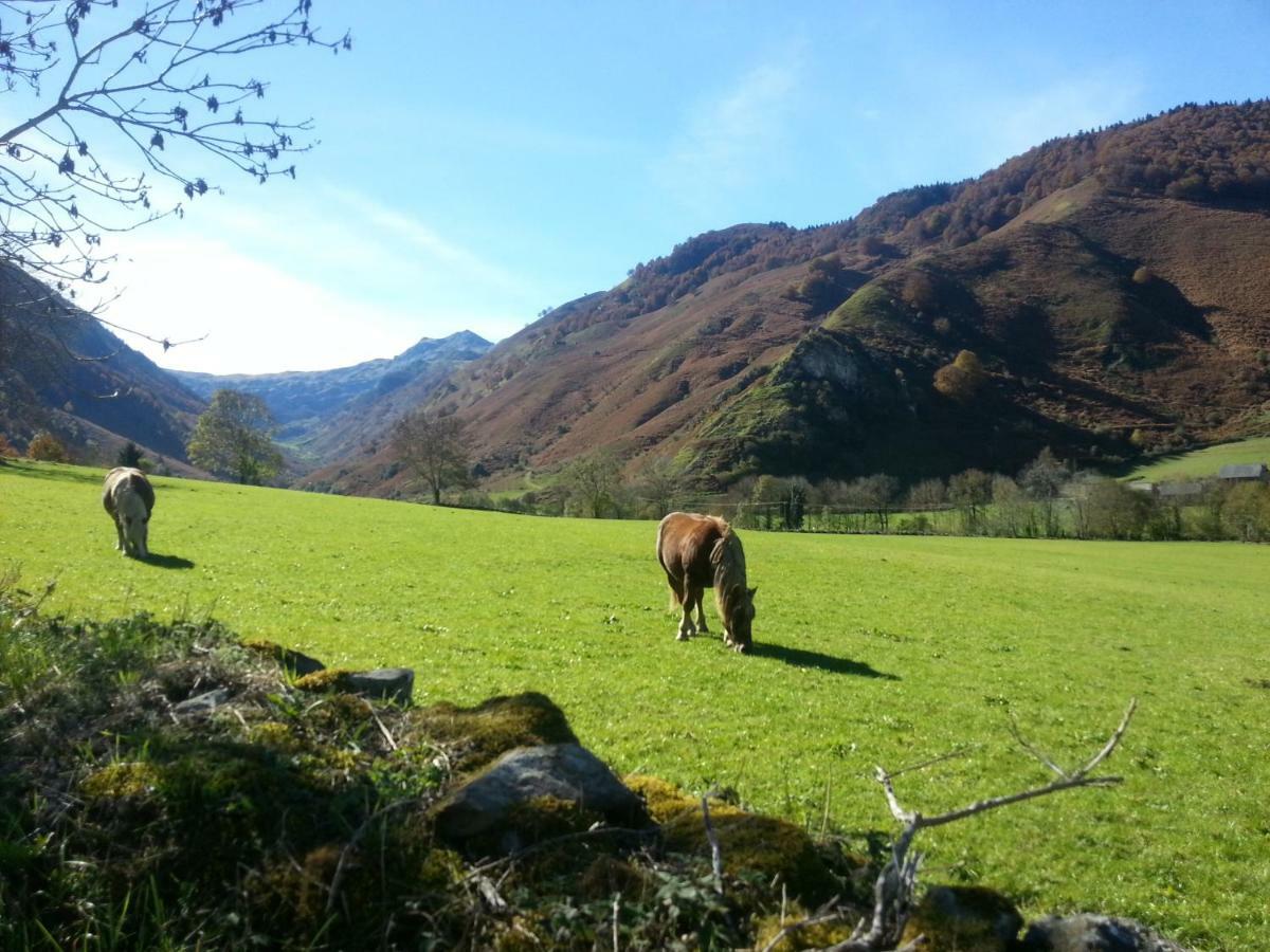 Gite De Montagne Du Plateau De Lhers- Accueil Randonneurs Accous المظهر الخارجي الصورة