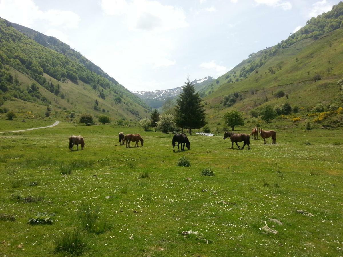 Gite De Montagne Du Plateau De Lhers- Accueil Randonneurs Accous المظهر الخارجي الصورة