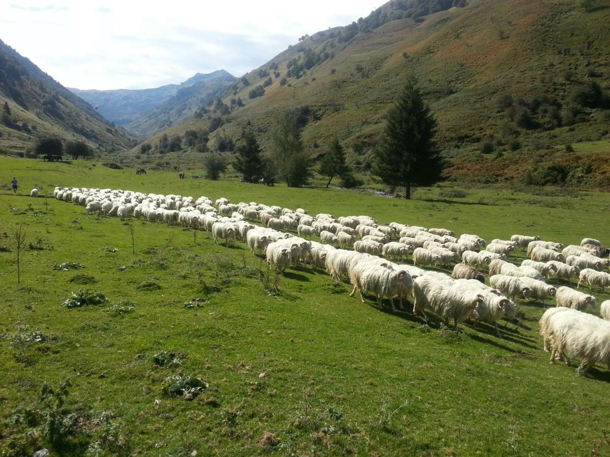 Gite De Montagne Du Plateau De Lhers- Accueil Randonneurs Accous المظهر الخارجي الصورة