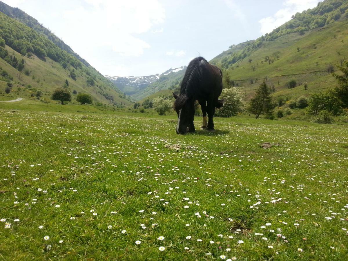 Gite De Montagne Du Plateau De Lhers- Accueil Randonneurs Accous المظهر الخارجي الصورة
